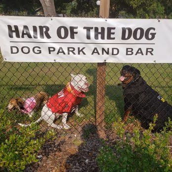 Hair of the Dog Park photo 1